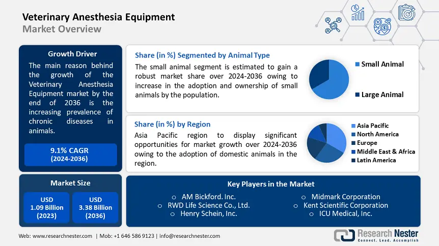 Veterinary Anesthesia Equipment Market overview-min